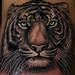 Tattoos - Tiger Tattoo - 77857